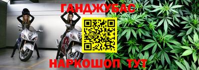 бошки Кингисепп