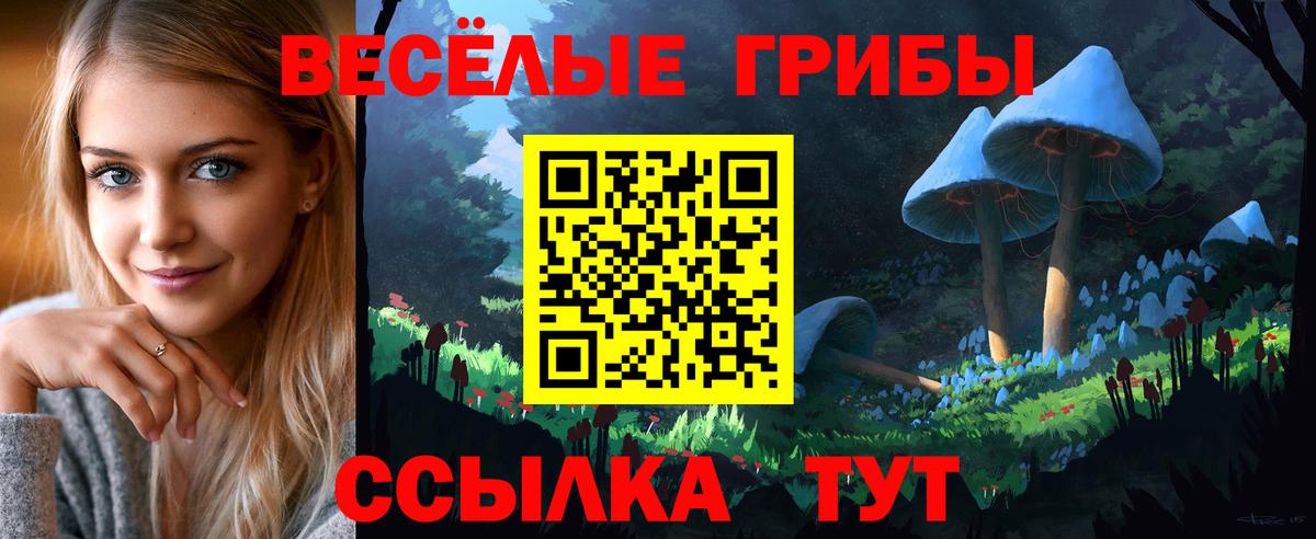 Псилоцибиновые грибы Psilocybe Балашов