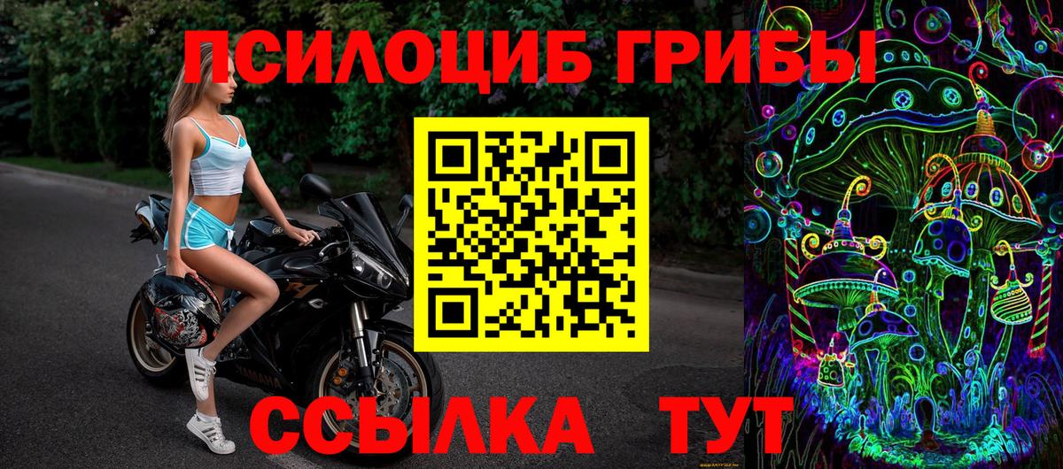 Псилоцибиновые грибы Psilocybe  Псилоцибиновые грибы Magic Shrooms  Балашов  Вход с VPN 